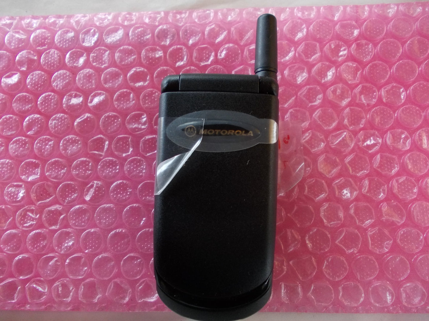 MOTOROLA V50